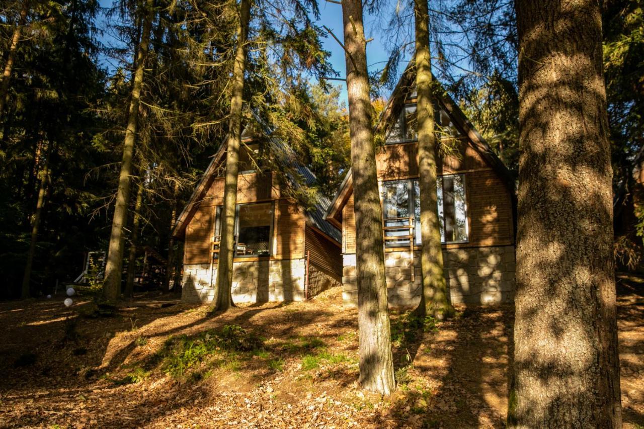 Hotel Kouty Ledeč nad Sázavou エクステリア 写真