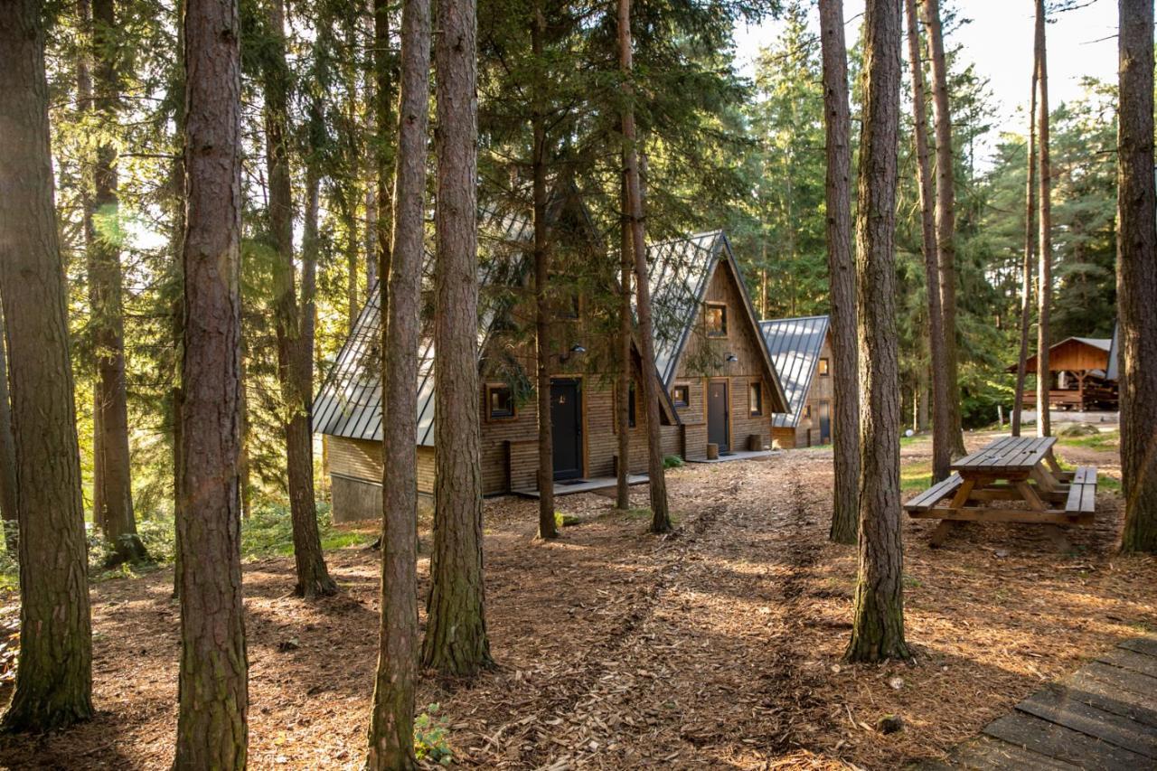 Hotel Kouty Ledeč nad Sázavou エクステリア 写真