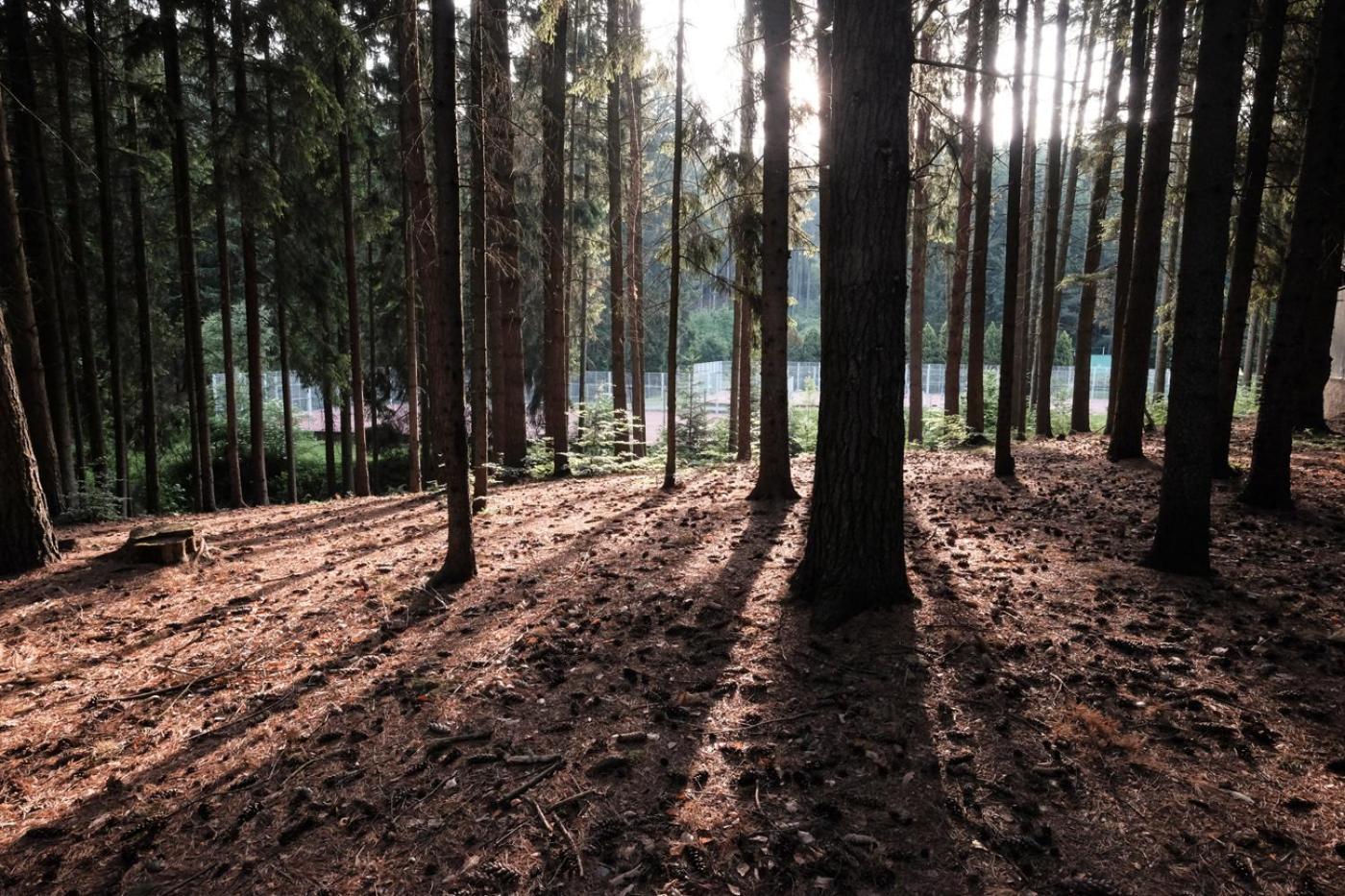 Hotel Kouty Ledeč nad Sázavou エクステリア 写真